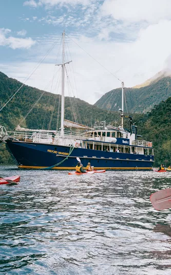 Real New Zealand Trip