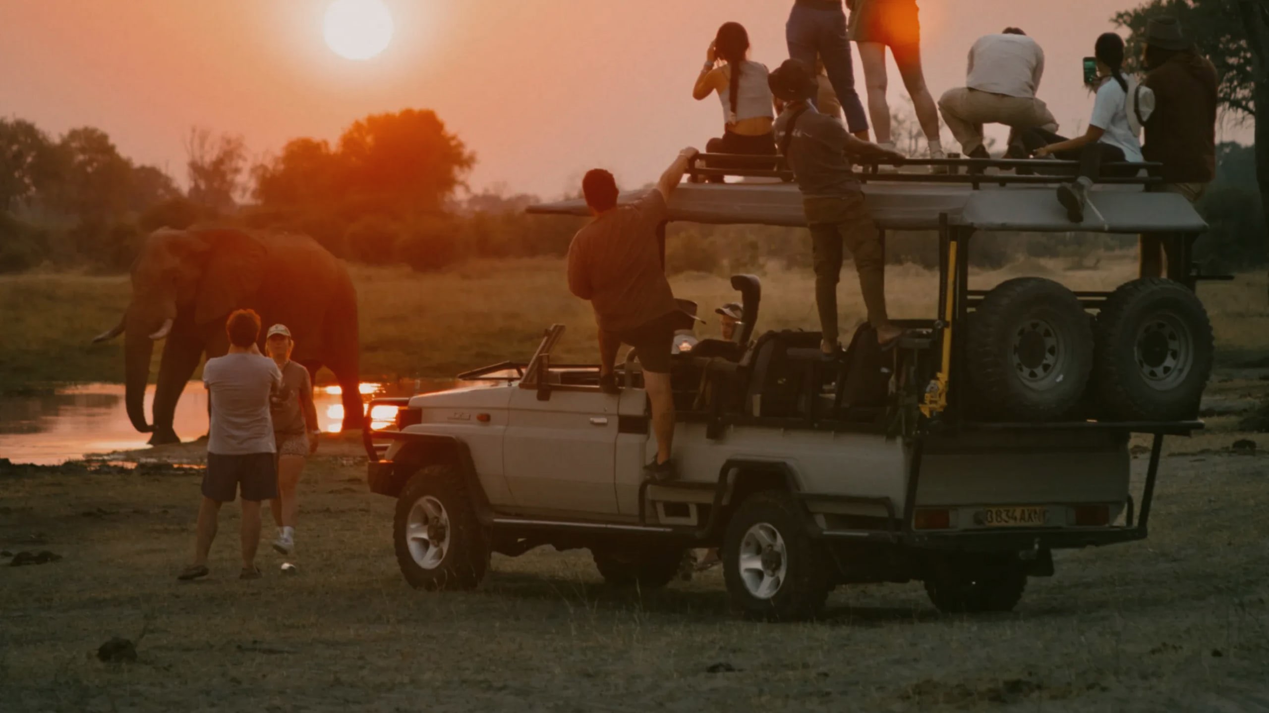 Travellers watching an elephant at sunset during a safari on Contiki's Best of Botswana & Namibia Tour