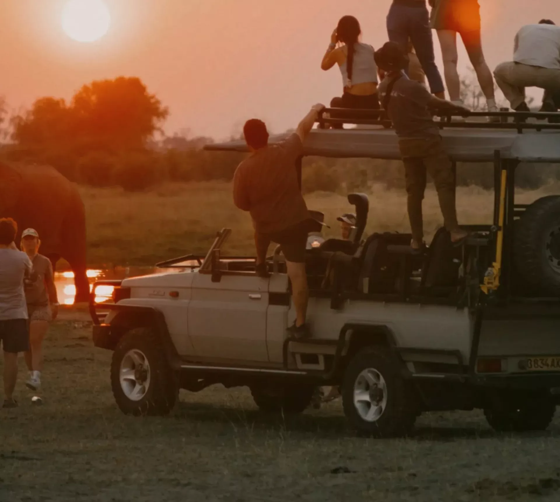 Travellers watching an elephant at sunset during a safari on Contiki's Best of Botswana & Namibia Tour