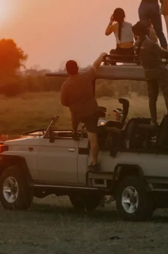 Travellers watching an elephant at sunset during a safari on Contiki's Best of Botswana & Namibia Tour