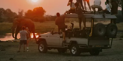 Travellers watching an elephant at sunset during a safari on Contiki's Best of Botswana & Namibia Tour