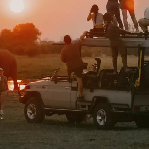 Travellers watching an elephant at sunset during a safari on Contiki's Best of Botswana & Namibia Tour