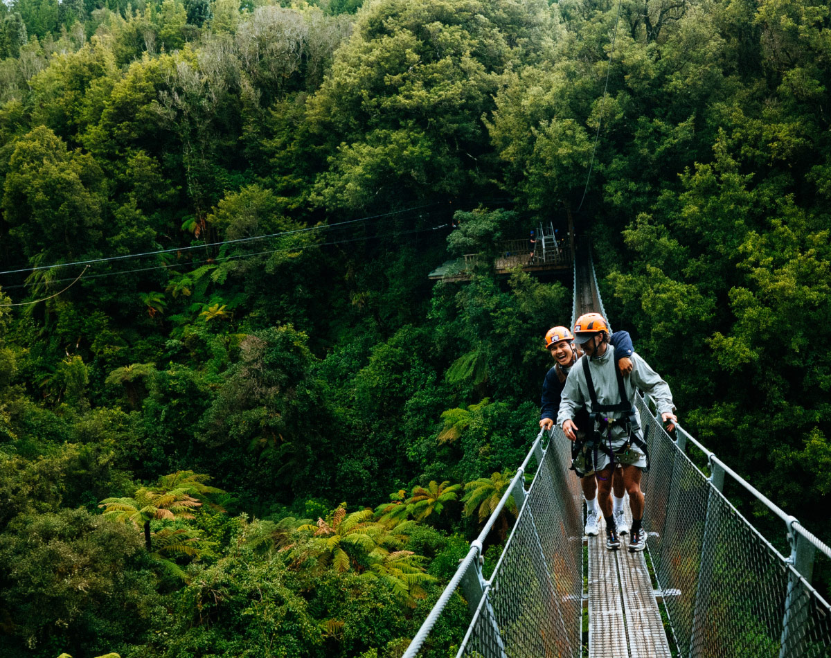 Two Men Canopy Walk In Rotorua New Zealand