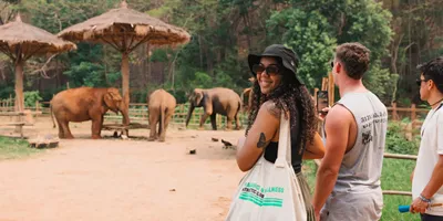 A group watching elephants in a sanctuary - Contiki Thailand, Laos & Cambodia Uncovered Tour