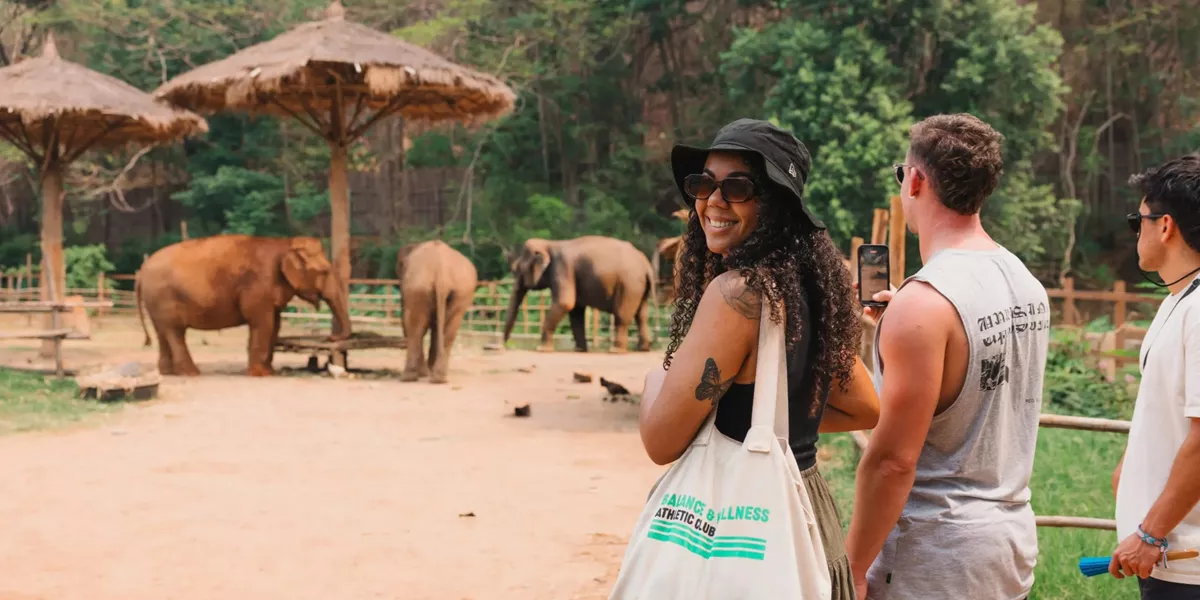 A group watching elephants in a sanctuary - Contiki Thailand, Laos & Cambodia Uncovered Tour