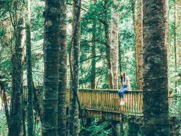 awesome-adventures-cape-reinga-trip-bay-of-islands-new-zealand.jpg