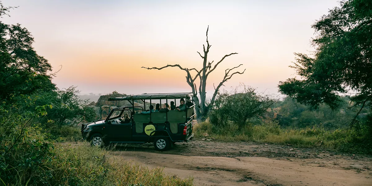 contiki_sa_stills_v3_day8_shot_11.jpg (1)