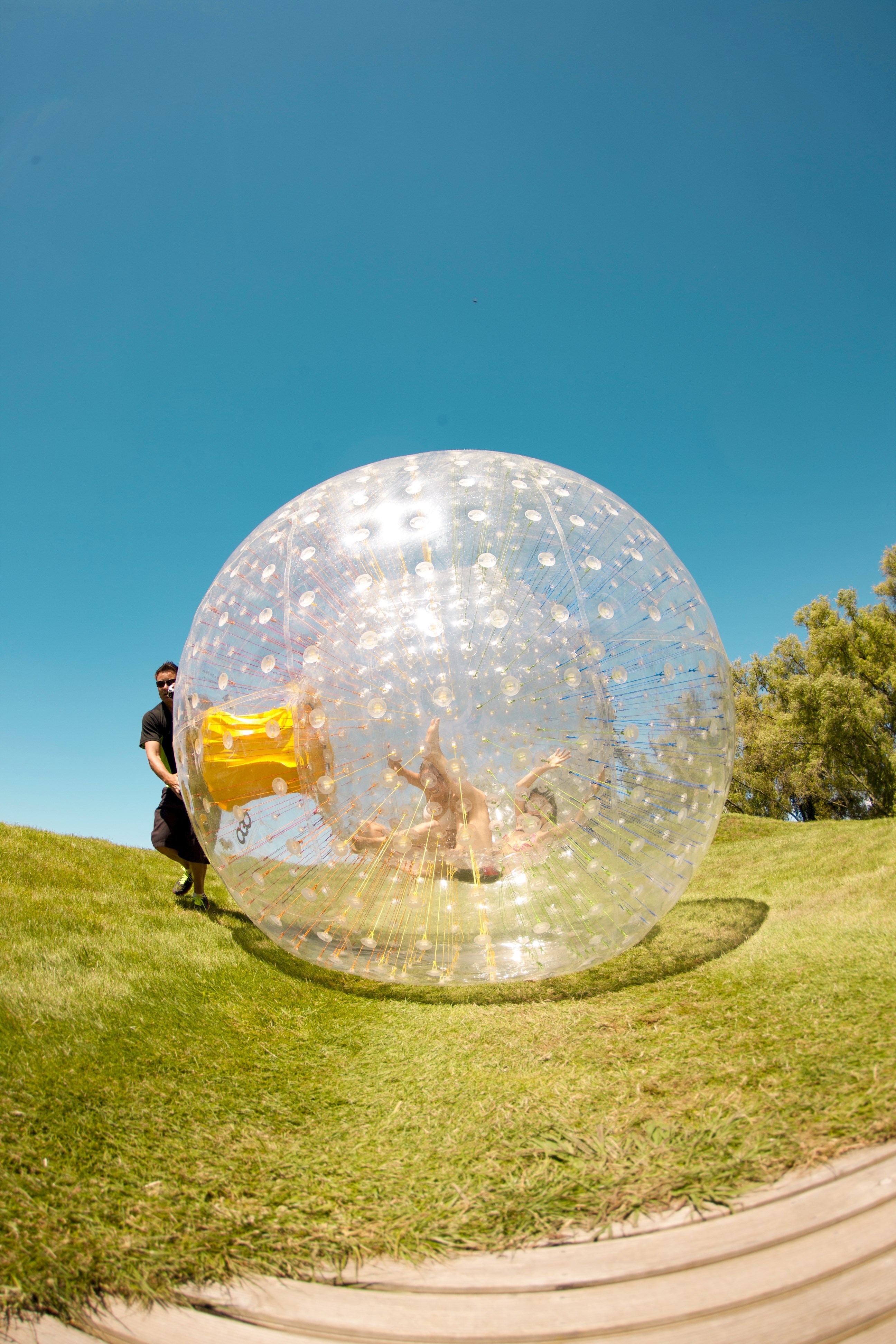 Traveller rolling in an Ogo ball