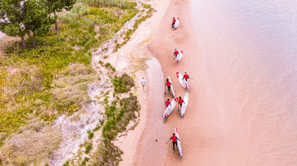 Surfers On Trip