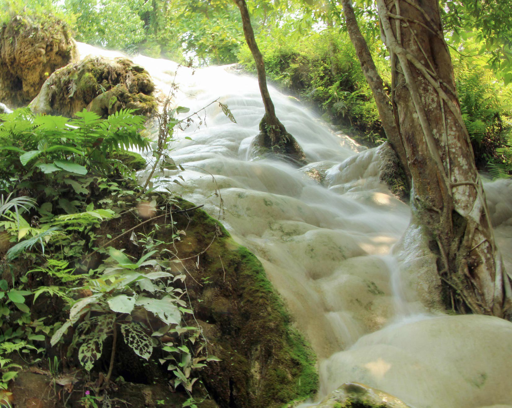 Climb the Bua Thong “Sticky” Waterfalls