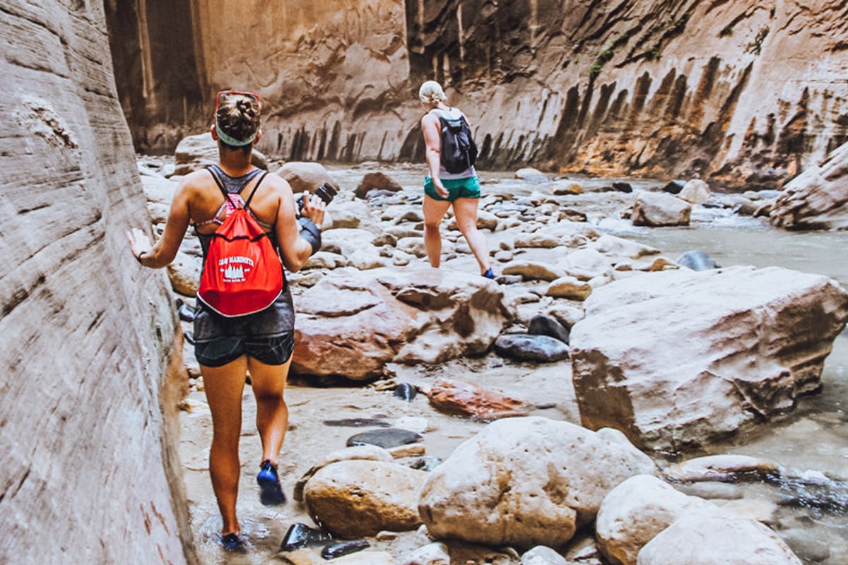 Travellers trekking in mountains