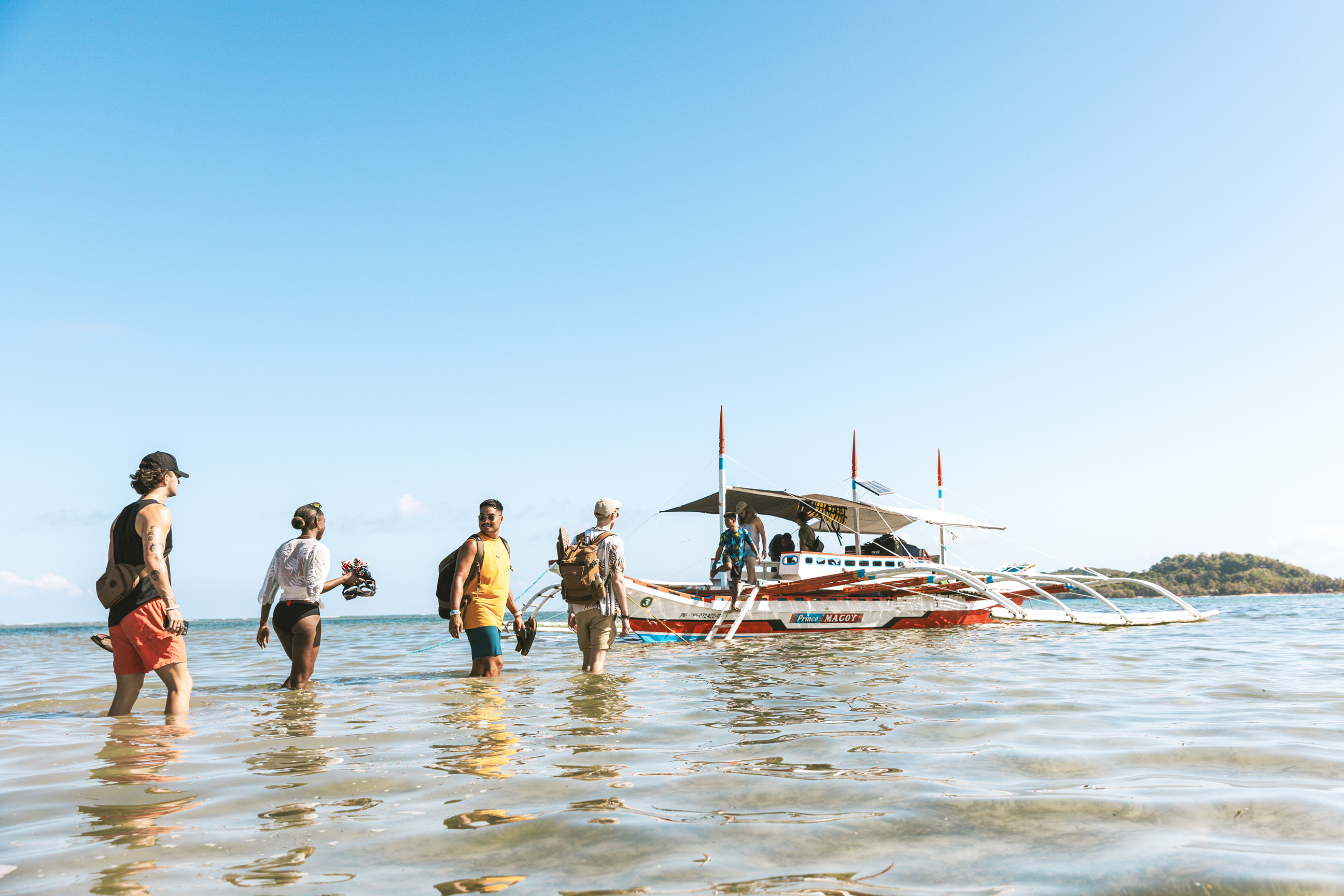 Witness a Sardine Run while Snorkelling