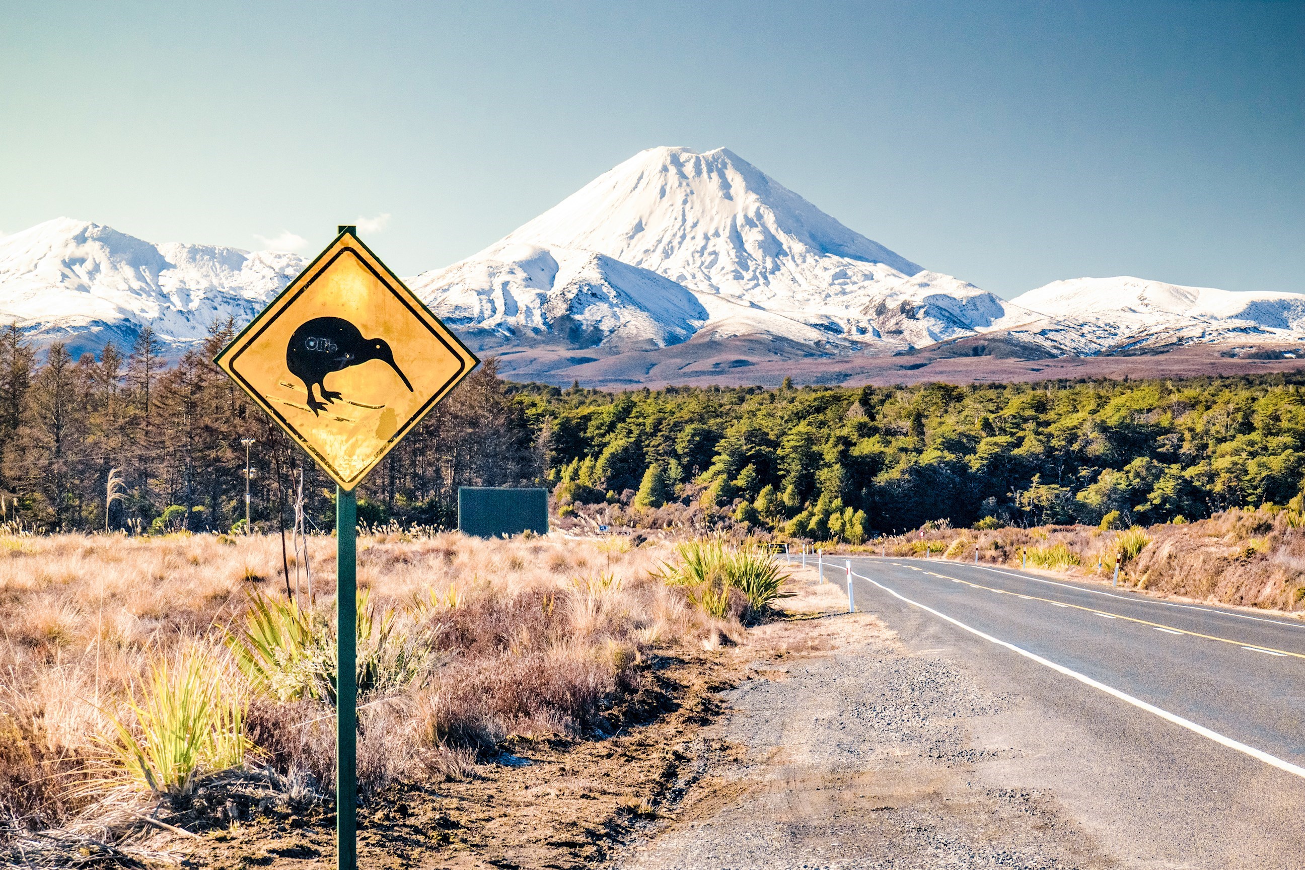 Wildlife Sign At Side Of The Road In Front Of Mount Ngaruhoe, New Zealand