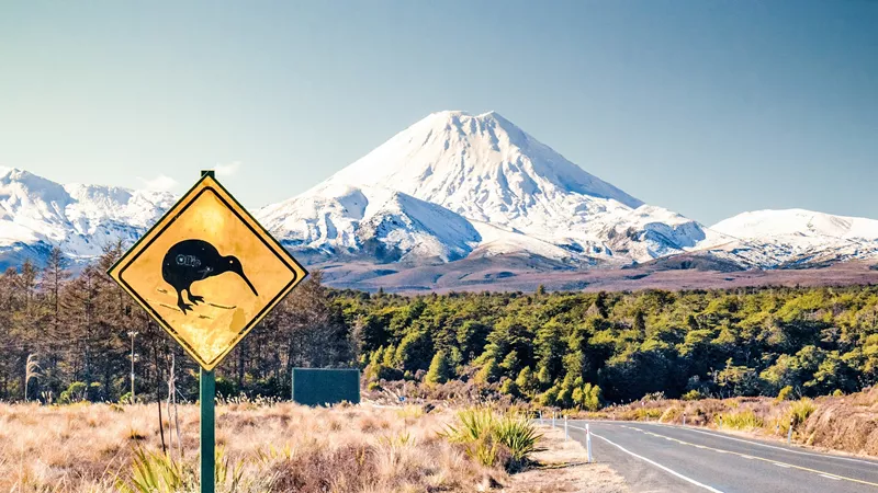 Wildlife Sign At Side Of The Road In Front Of Mount Ngaruhoe, New Zealand