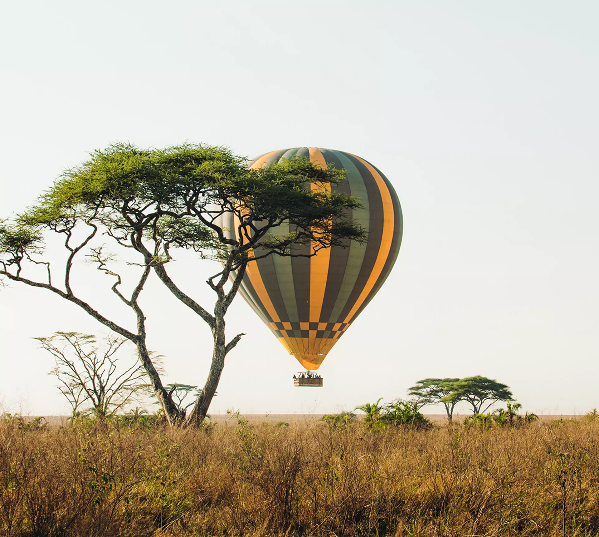 Kenya and Tanzania Adventure
