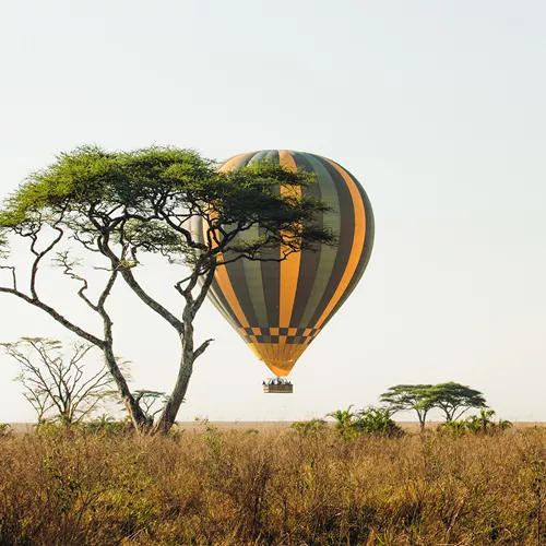 Kenya and Tanzania Adventure