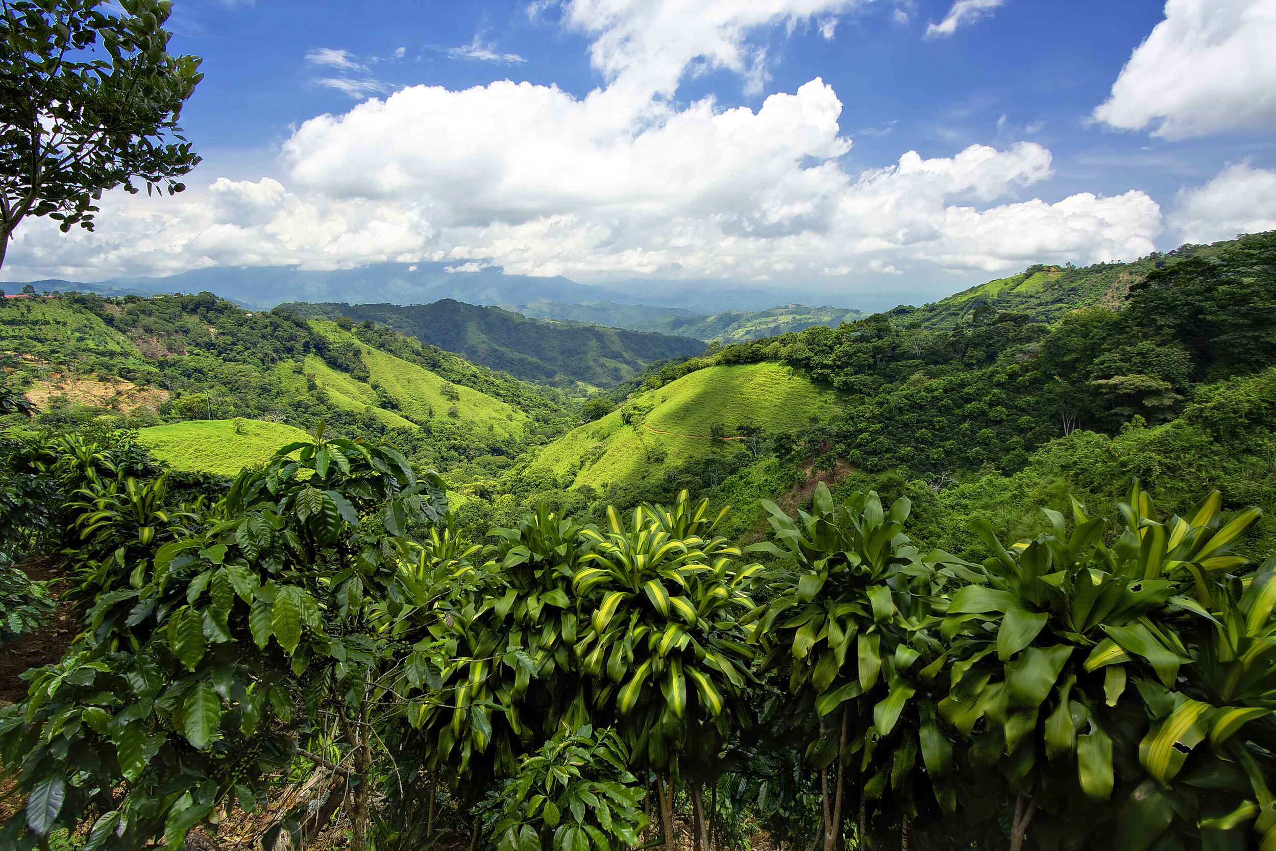 Beautiful Views Over The Green Hills Of Costa Rica