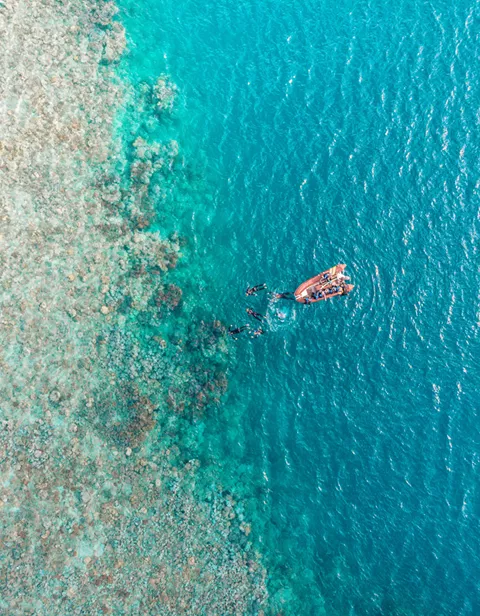 Coral Reef Australia