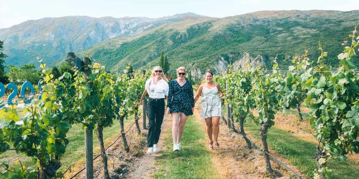 Travellers Holding Hands Walking In Vineyards In New Zealand