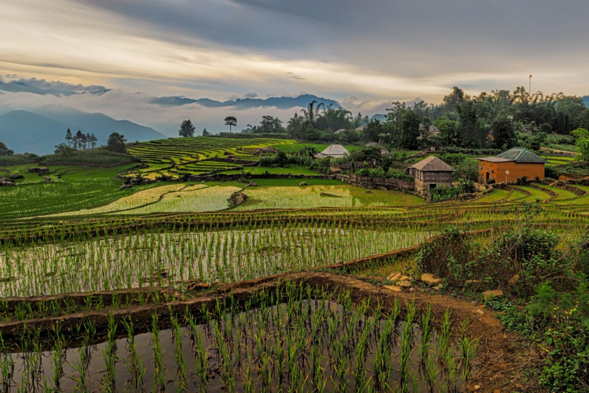 Visit Vietnam With Contiki 3 Min