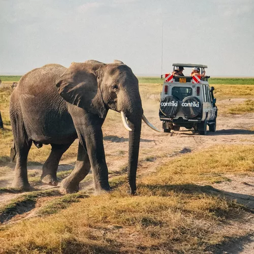 Tanzania Safari 35 to 45