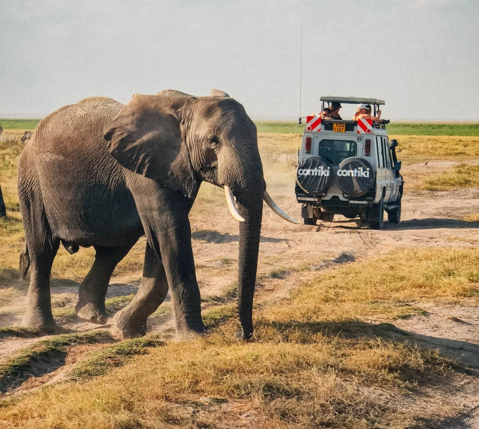 Tanzania Safari 35 to 45