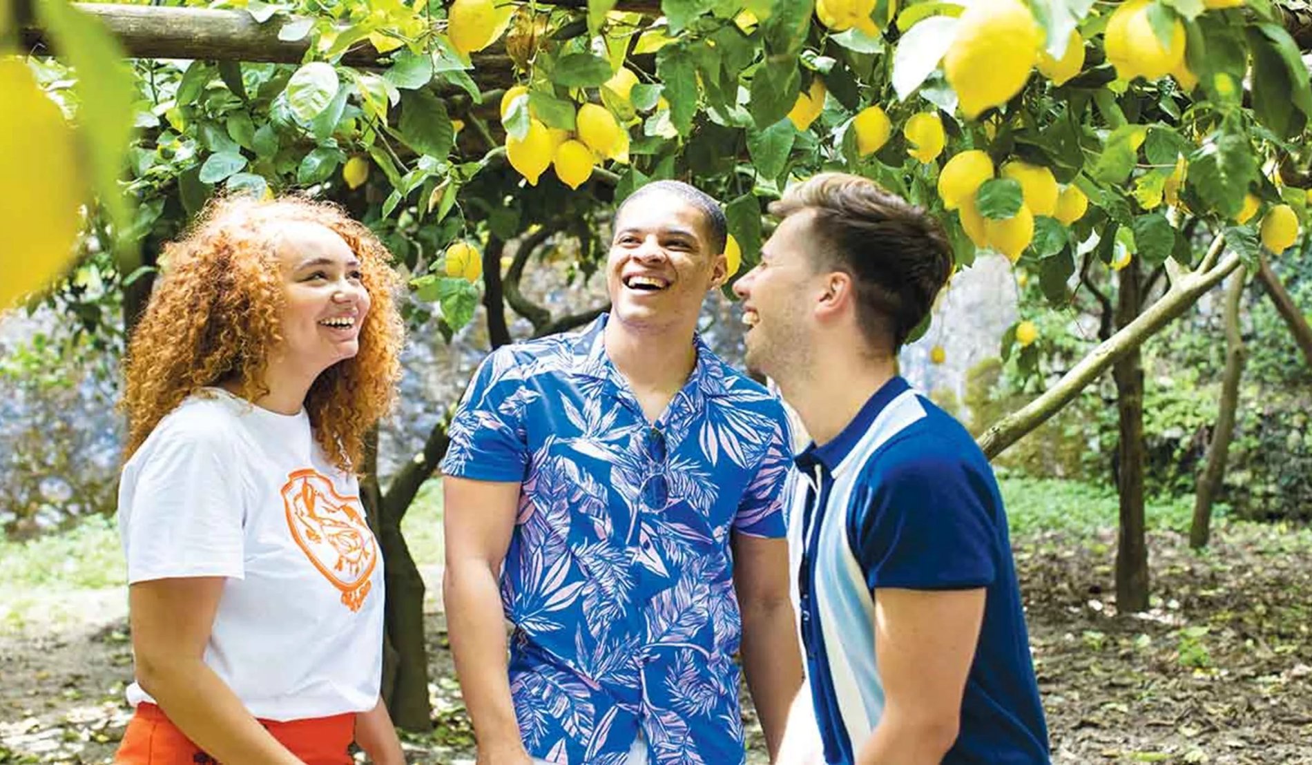  Group Of Travelers At Lemon Grove In Amalfi Coast Italy