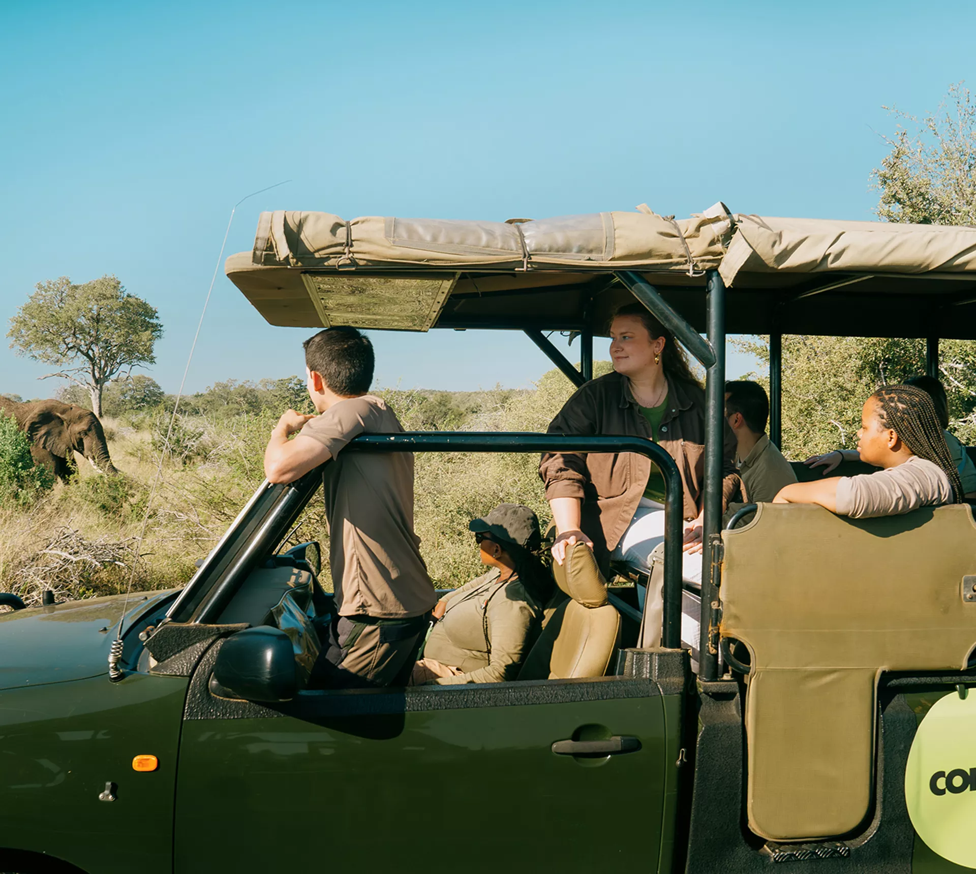 Sea, Safari, South Africa Trip