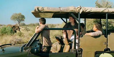 Sea, Safari, South Africa Trip