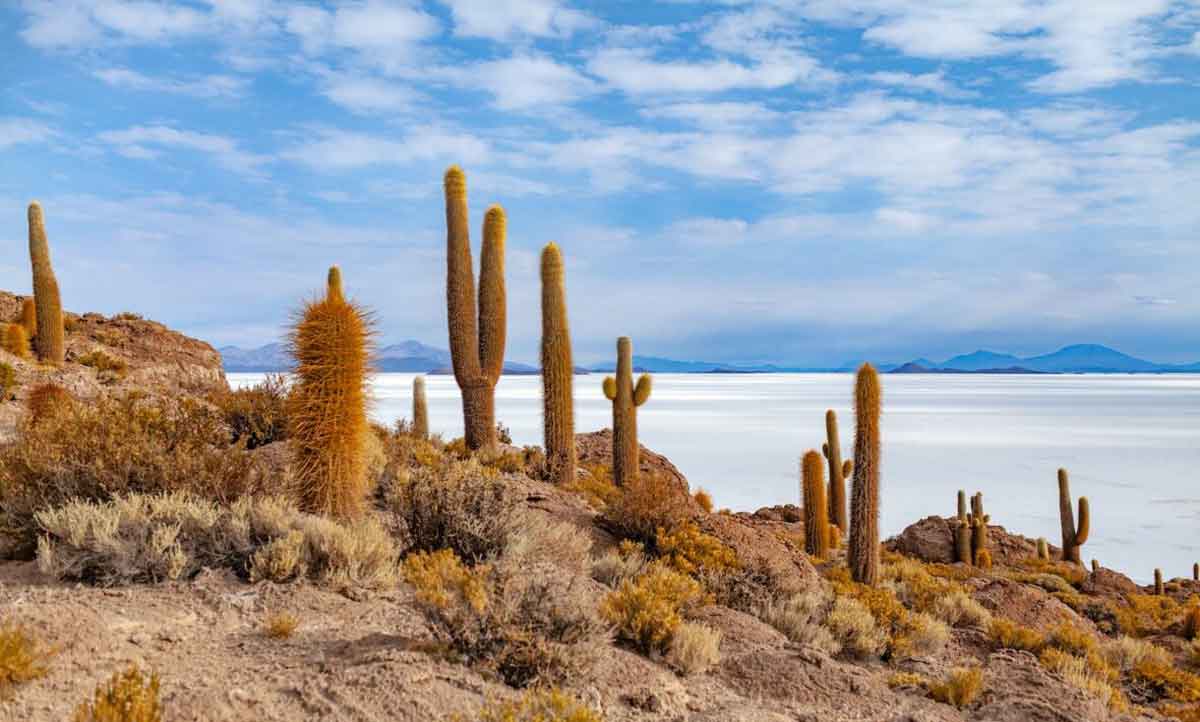 Desert Image Best Places To Visit In South America