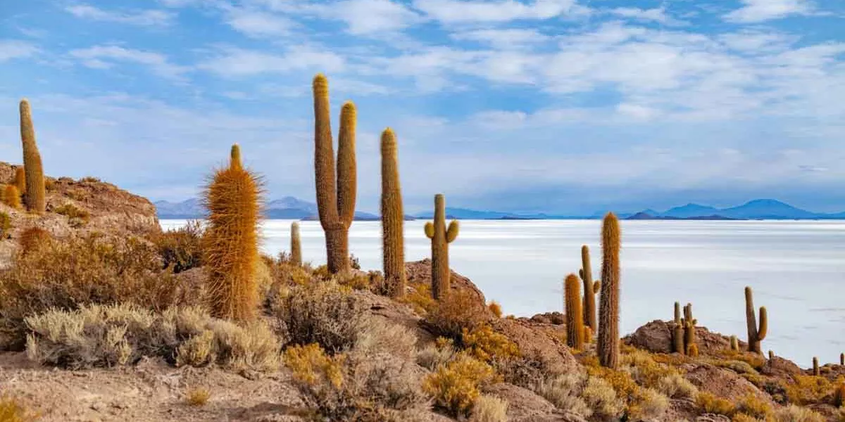 Desert Image Best Places To Visit In South America