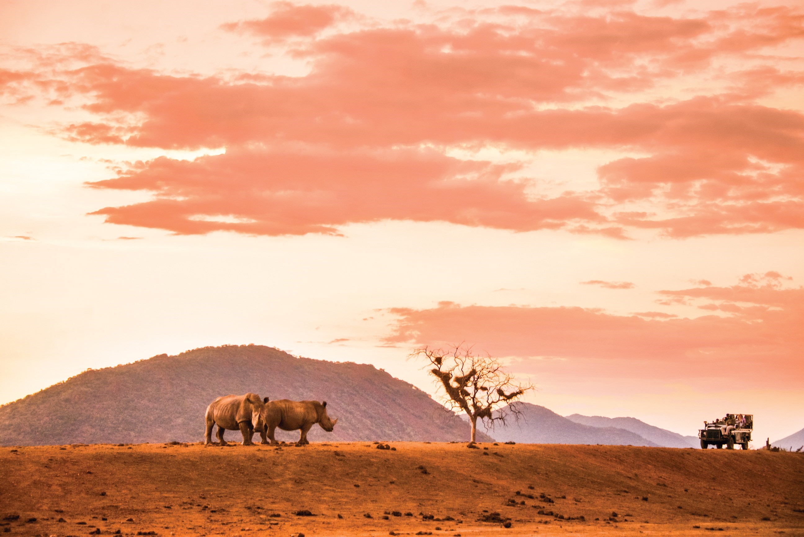 Afternoon Game Drive