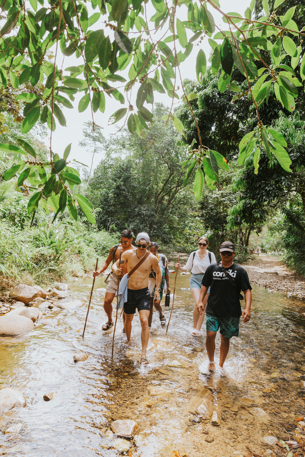 Group Walking Through Forest In Philippines