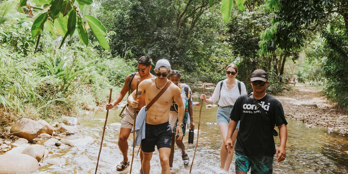 Group Walking Through Forest In Philippines