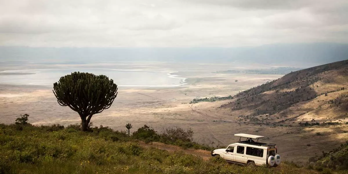 Jeep Exploring Nature Landscape