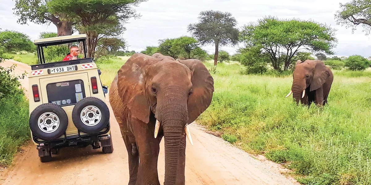 Taste of Tanzania Trip