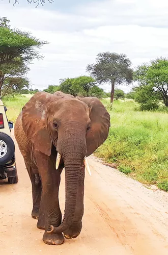 Taste of Tanzania Trip