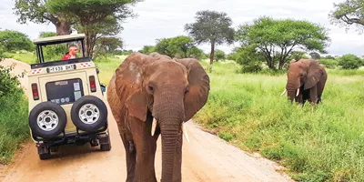 Taste of Tanzania Trip