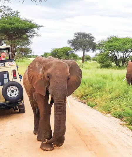 Taste of Tanzania Trip