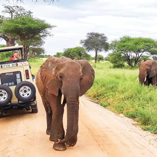 Taste of Tanzania Trip