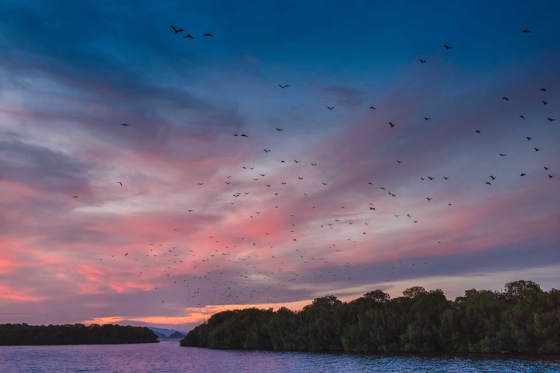 Catch a Golden Sunset over Kalong Island