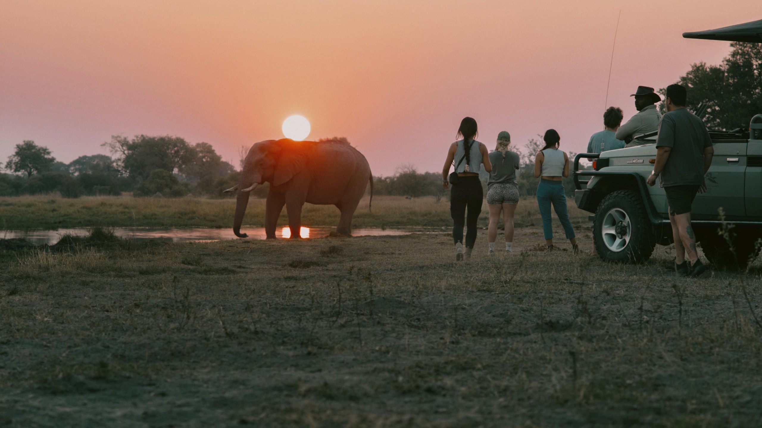 Travellers watch an elephant at sunset during a safari on the Contiki Best of Botswana & Victoria Falls Tour