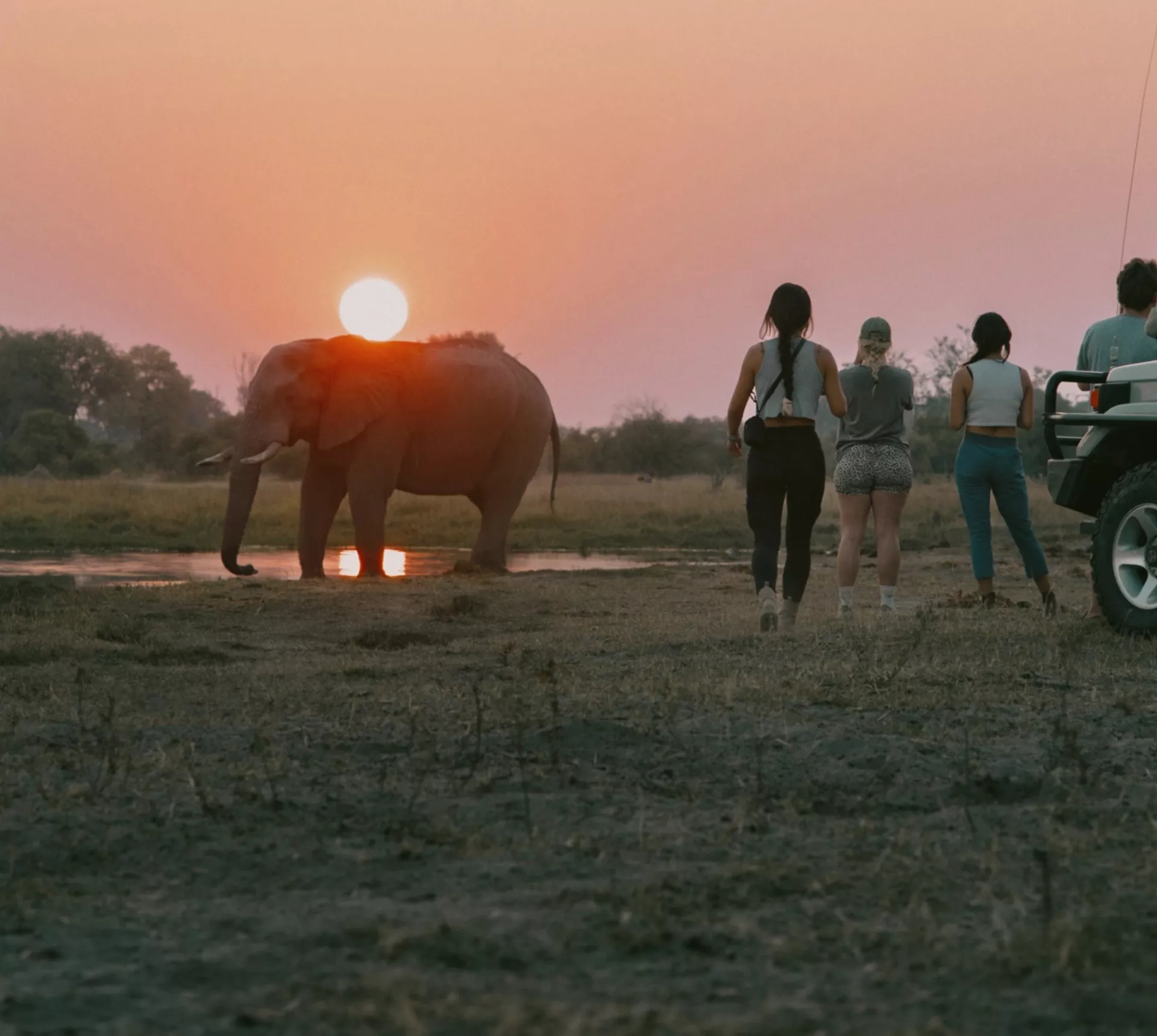 Travellers watch an elephant at sunset during a safari on the Contiki Best of Botswana & Victoria Falls Tour