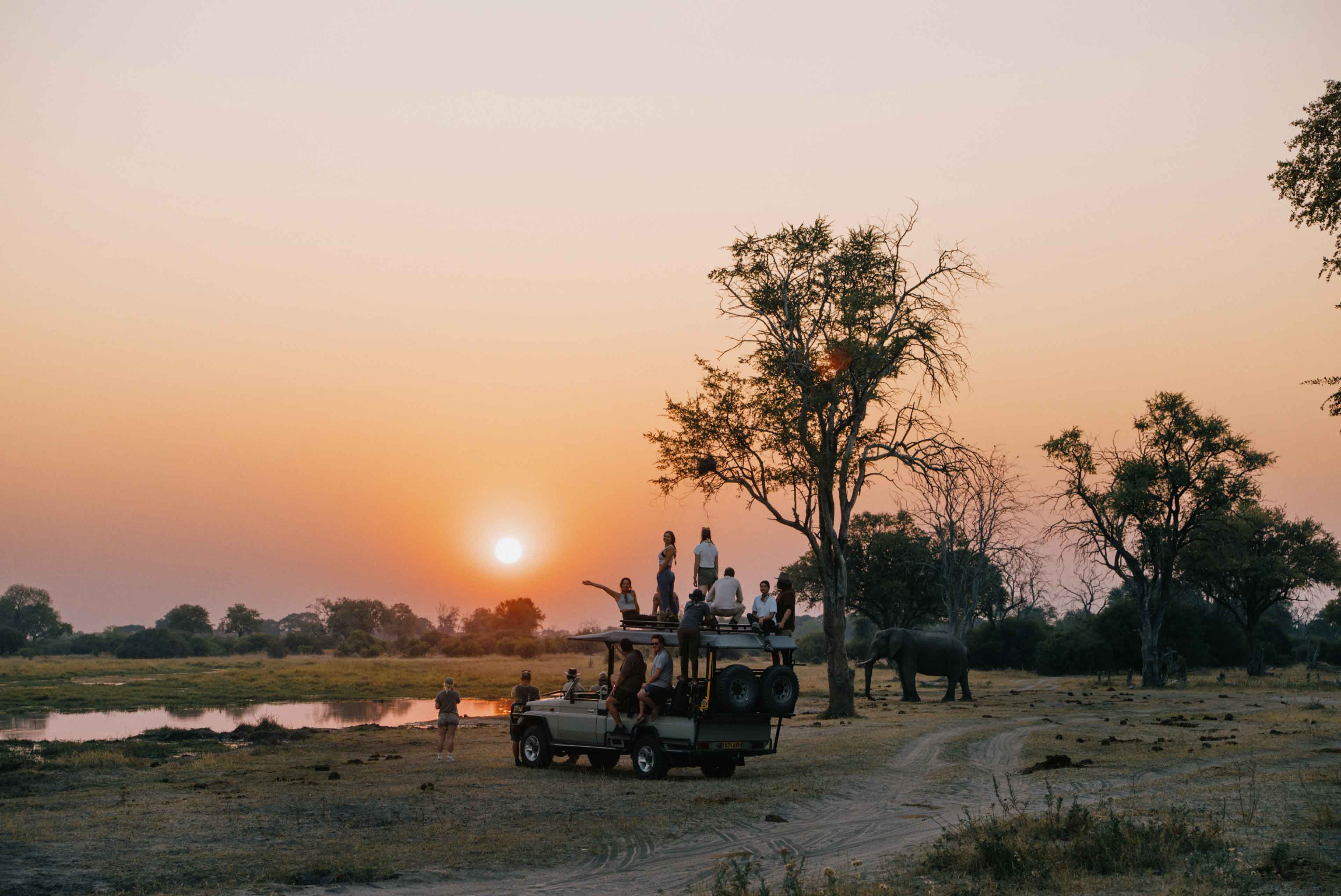Sunset Africa Elephants