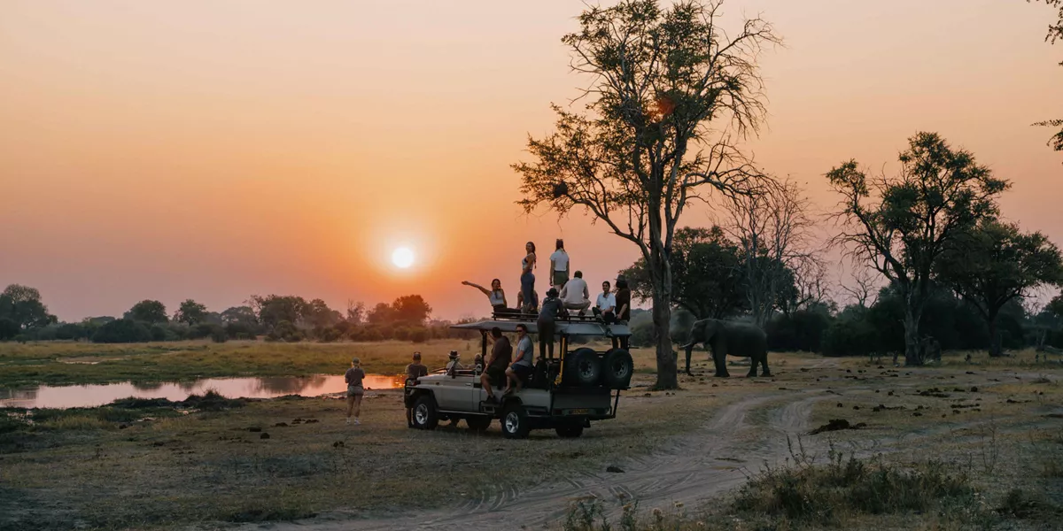 Sunset Africa Elephants