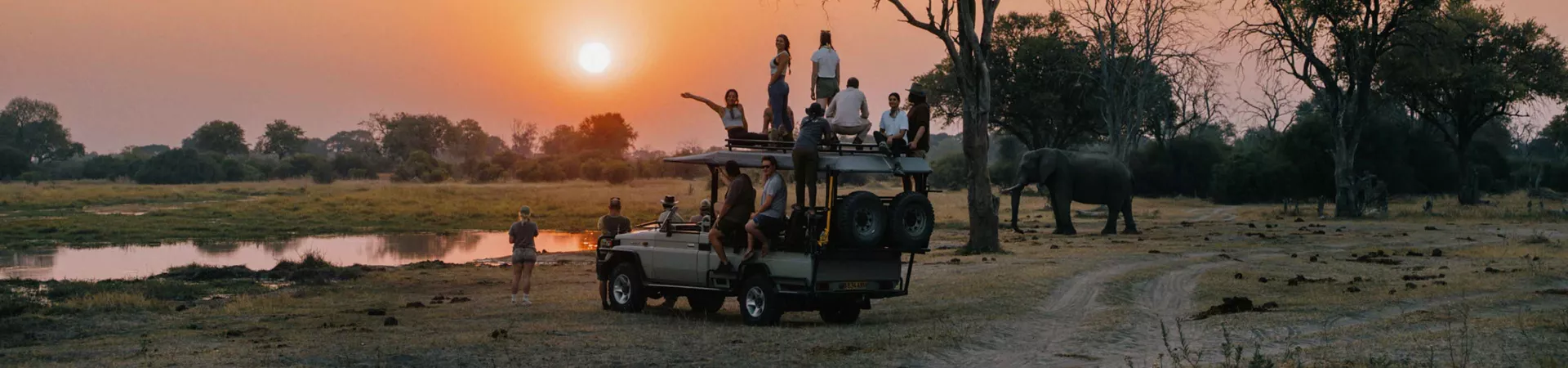 Sunset Africa Elephants