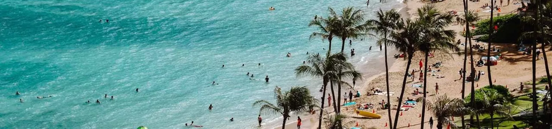 Hawaian landscape, beach with palmtrees