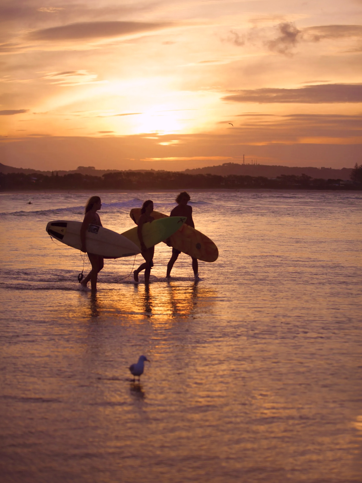 Surfers walking into the ocean at sunset in Byron Bay, New South Wales, Australia.