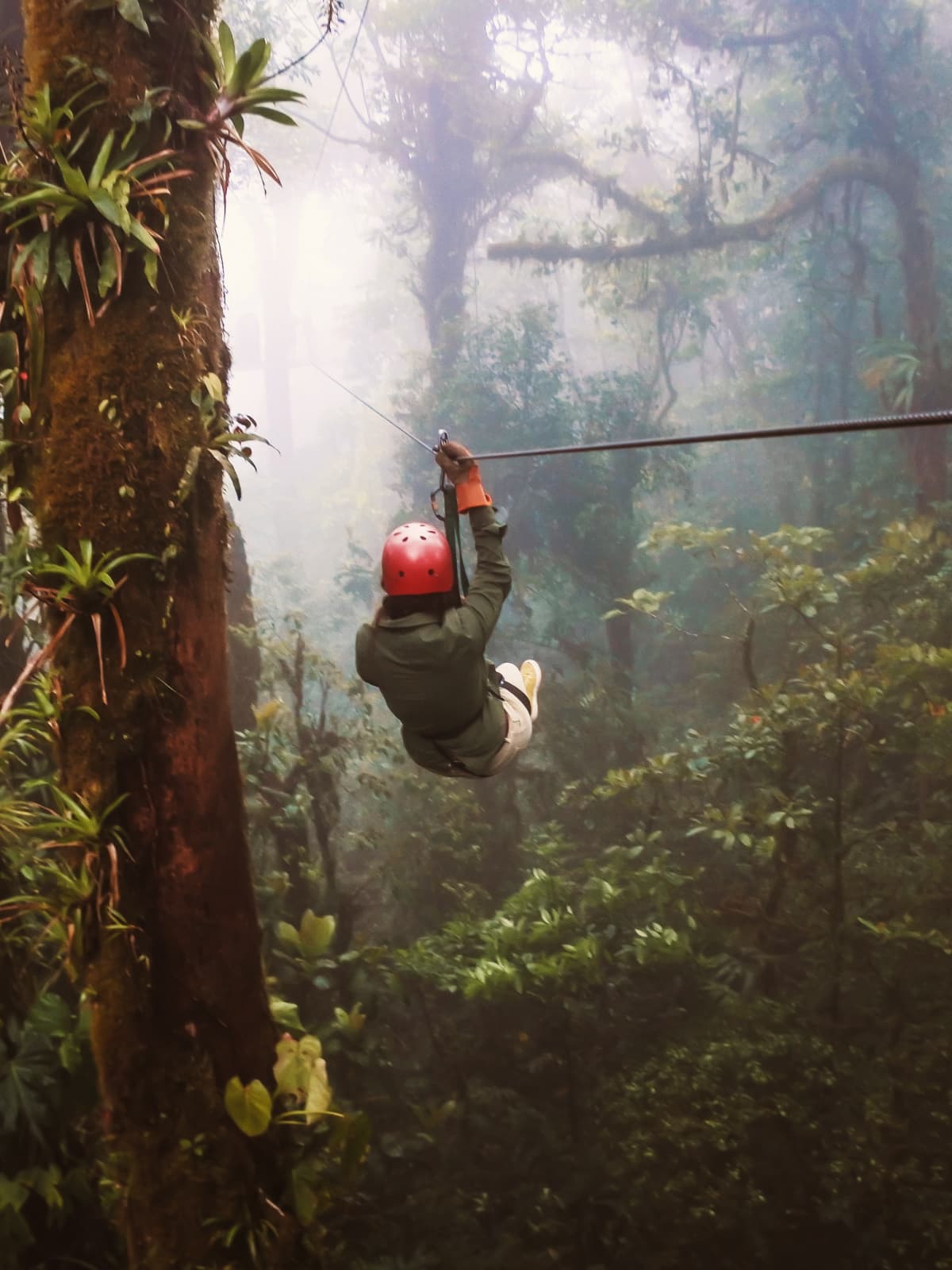 Traveller ziplining through the misty cloud forest canopy in Costa Rica.