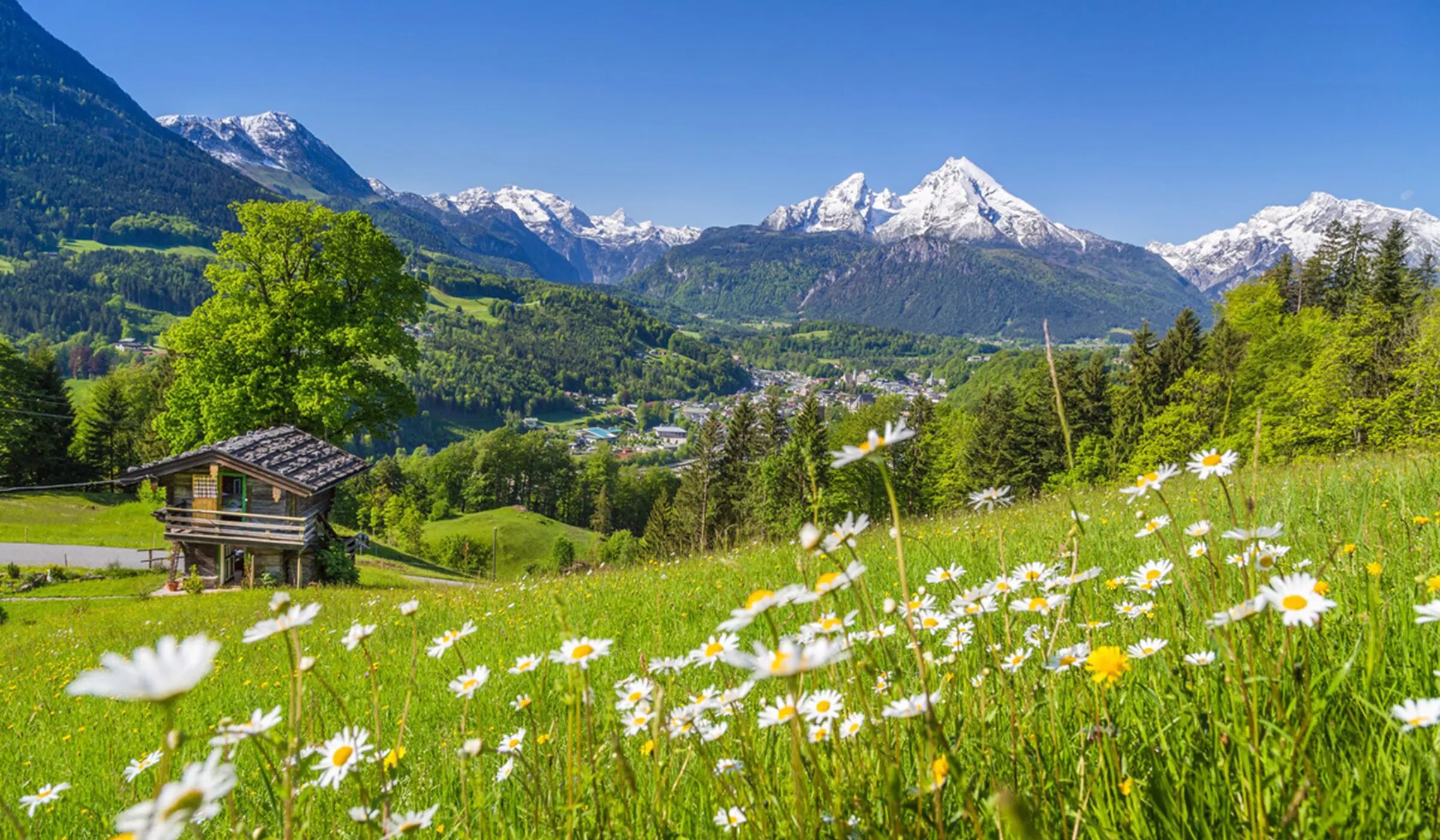 Mountain Chalet Austria
